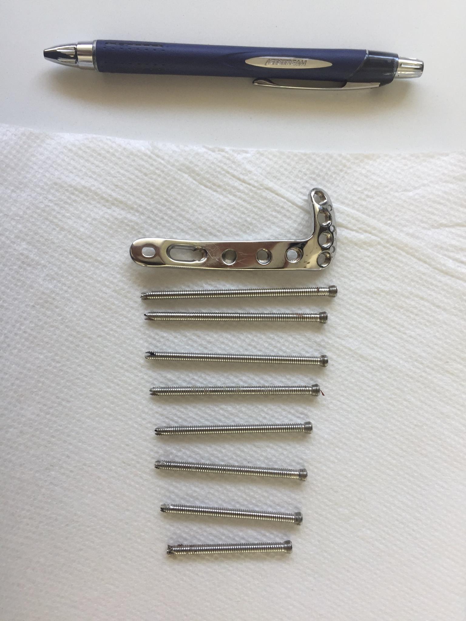 Metal L plate and screws